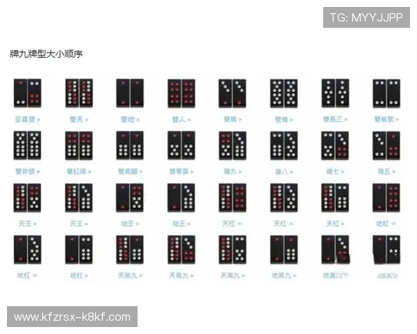 掌握抢庄牌九的玩法策略提升你的胜率技巧