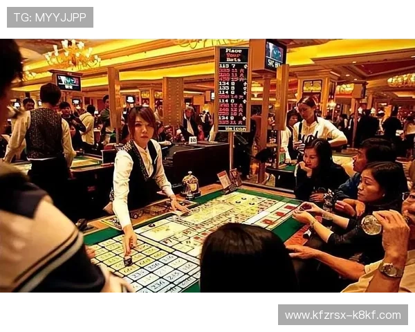 探索真人实体赌场未来的发展方向，结合科技创新推动行业持续升级