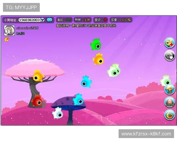 K8金沙电子游戏界面设计与用户体验优化方案分析